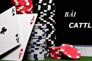 Hướng dẫn chơi catte 3d sunwin – Đánh bài online đỉnh cao